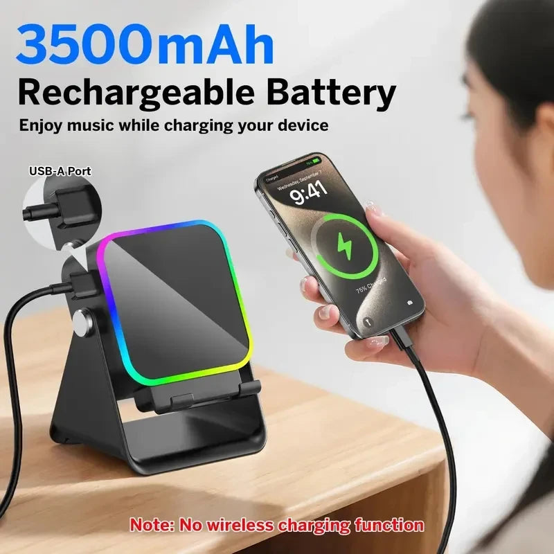 Wireless Induction Speaker